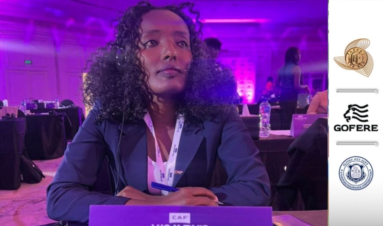 አዳማ ከተማ ዕንስት ሥራ አስክያጅ ሾሟል