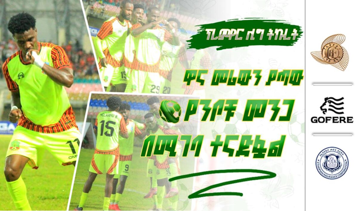 ፕሪሚየር ሊግ ትኩረት 17 | ዋና መሪውን ያጣው የንቦቹ መንጋ በሚገባ ተናድፏል